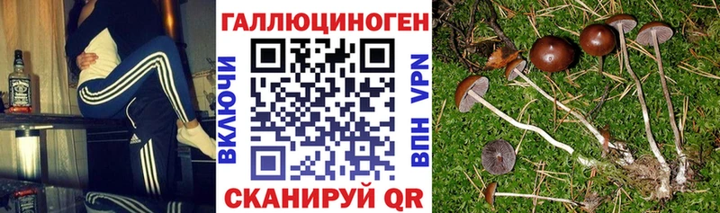 Псилоцибиновые грибы Magic Shrooms  Бакал 
